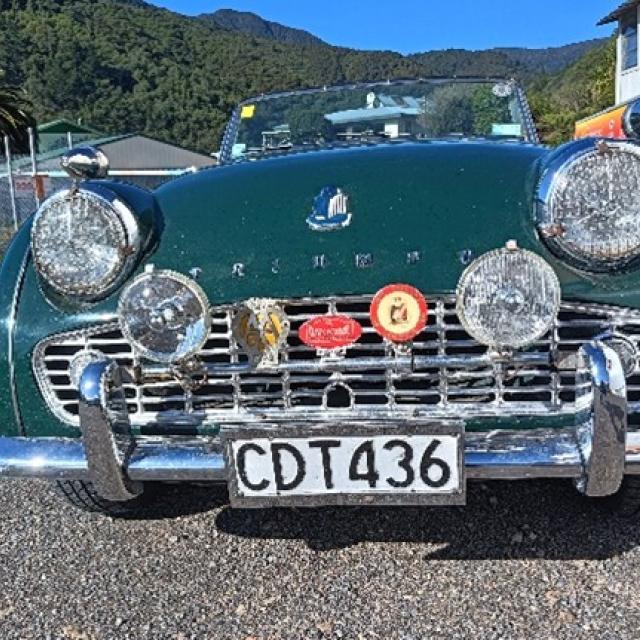TR3A